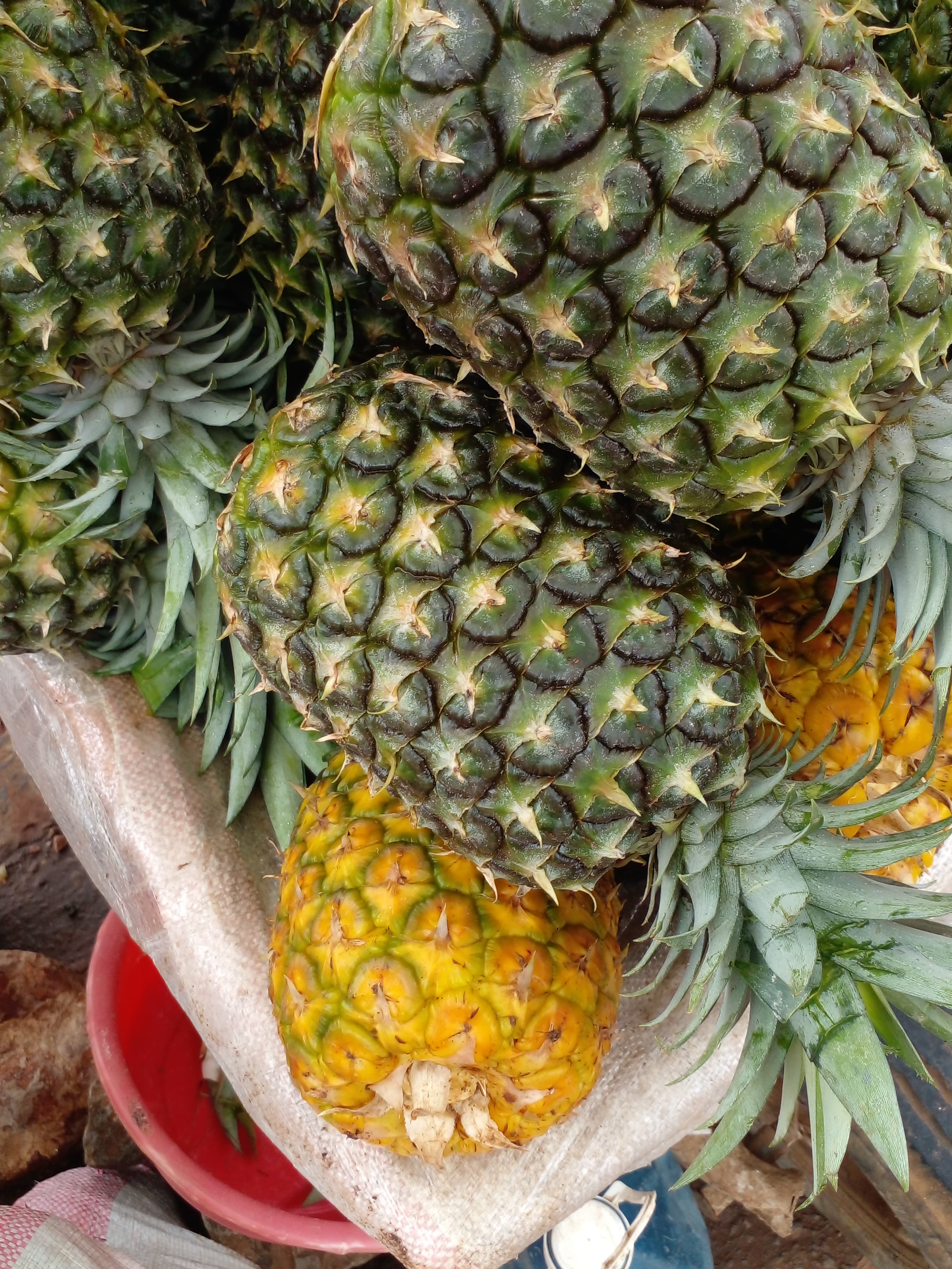 Discover Freshness at Fruits Corner: Your Go-To Natural Health Haven in Kenya
